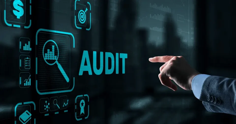 Proses Audit